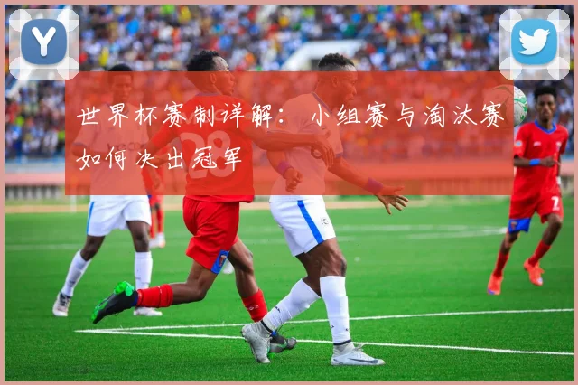 世界杯赛制详解：小组赛与淘汰赛如何决出冠军