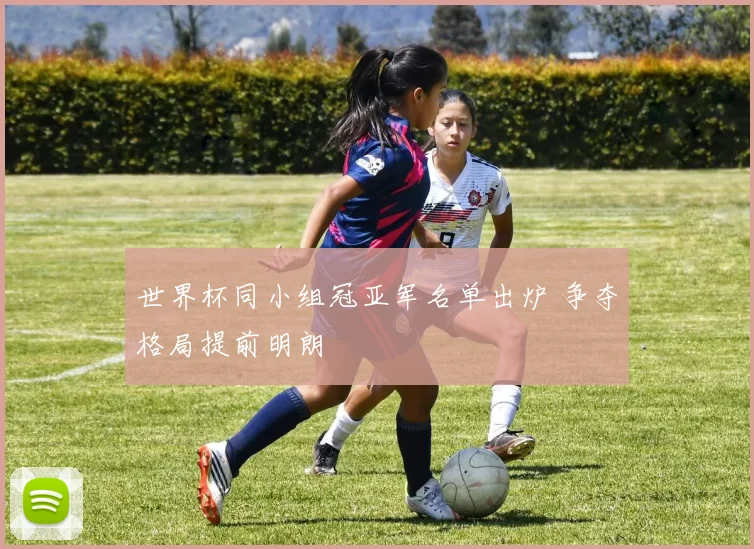 世界杯同小组冠亚军名单出炉 争夺格局提前明朗