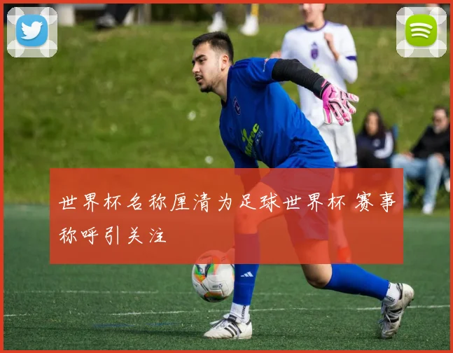世界杯名称厘清为足球世界杯 赛事称呼引关注