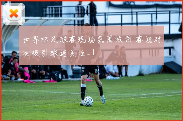 世界杯足球赛现场氛围浓烈 赛场对决吸引球迷关注_1